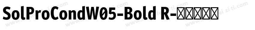 SolProCondW05-Bold R字体转换